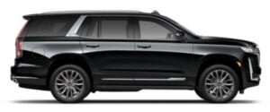 suv-300×125-1